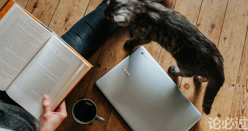 论必过降AIGC，AI降重，智能降重